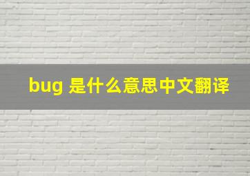 bug 是什么意思中文翻译